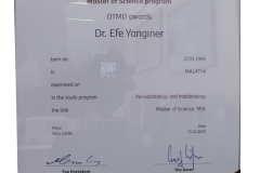 DTMDawardEfeYanginer DTMDawardEfeYanginer