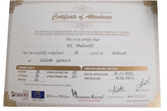 EfeYanginerDil EfeYanginerDil