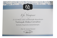 EfeYanginerYumusakDokuCerrahisi EfeYanginerYumusakDokuCerrahisi