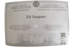 MarmaraUniEfeYanginer MarmaraUniEfeYanginer