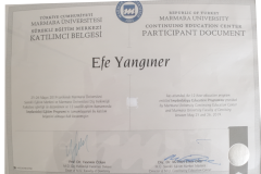 MarmaraUniEfeYanginerImplantoloji MarmaraUniEfeYanginerImplantoloji