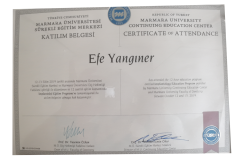 MarmaraUniEfeYanginerImplantoloji2 MarmaraUniEfeYanginerImplantoloji2