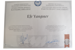 MarmaraUniEfeYanginerImplantoloji3 MarmaraUniEfeYanginerImplantoloji3