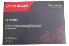 MedentikaEfeYanginer MedentikaEfeYanginer