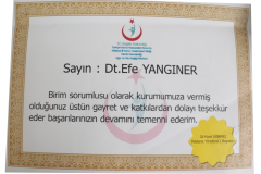 SaglikBakanligiTesekkurEfeYanginer SaglikBakanligiTesekkurEfeYanginer