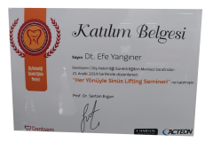 SinusliftingEfeYanginer SinusliftingEfeYanginer