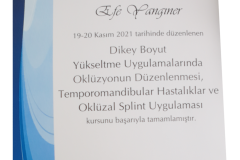 TemporomandibularEfeYanginer TemporomandibularEfeYanginer