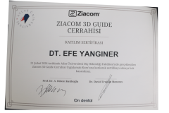 Ziacom3DGuideEfeYanginer Ziacom3DGuideEfeYanginer